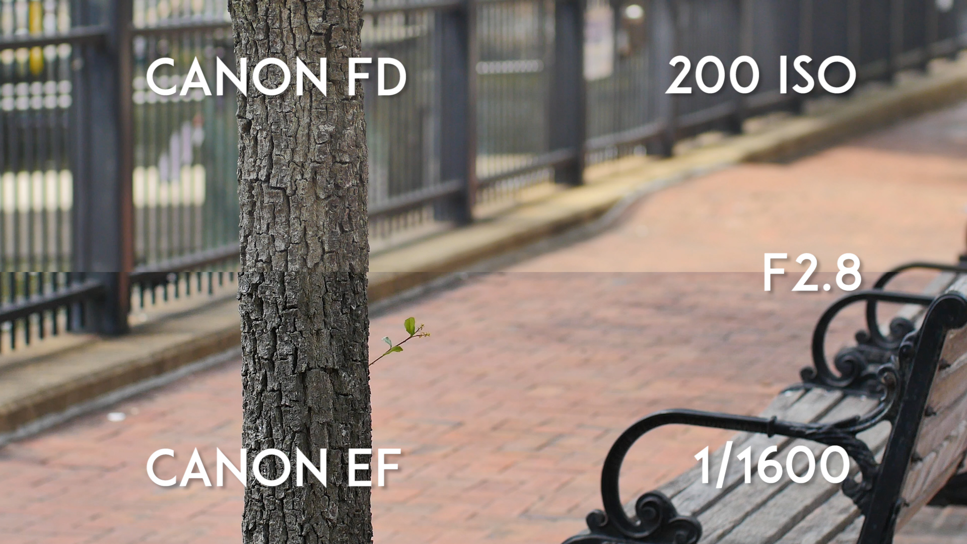 Canon FD 50mm F1.4 vs Canon EF 50mm F1.4_F2.8