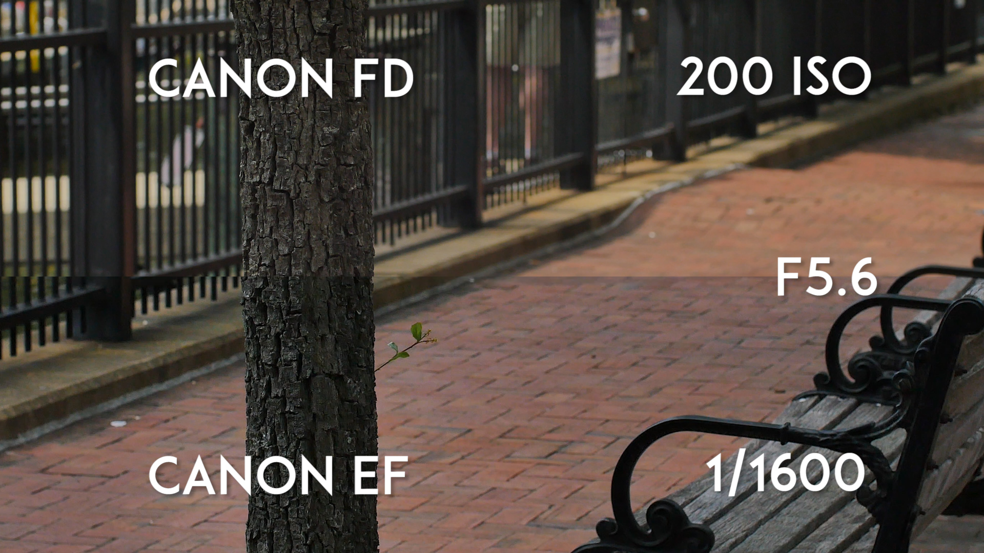 Canon FD 50mm F1.4 vs Canon EF 50mm F1.4_F5.6