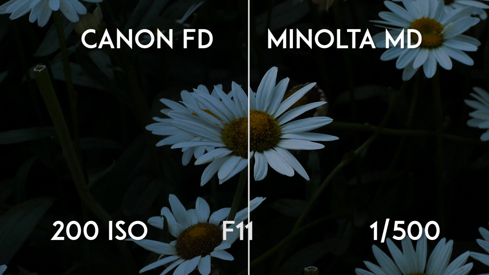 Canon FD 50mm F1.4 vs Minolta MD Rokkor X 50mm F1.4 - F11